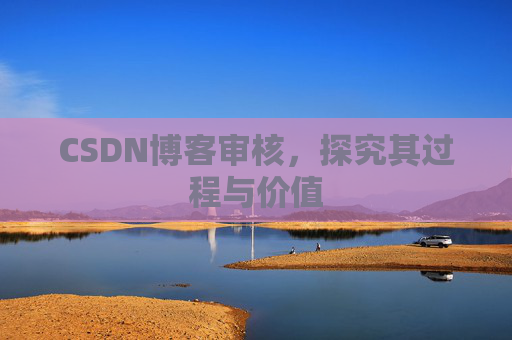 CSDN博客审核，探究其过程与价值